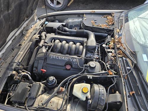 1-RotateNoneFlipNonedc56df1d-6c9f-41ba-ba75-4dcb2fdb7950