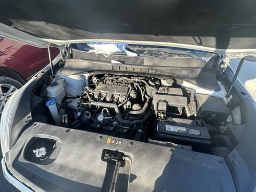 1-RotateNoneFlipNonedc5b7ae0-f68c-412a-bbb1-25abef9ece81