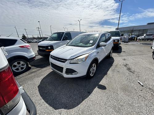 1-RotateNoneFlipNoneded0d611-f9c7-4c47-89c1-3e7a87bf60ef