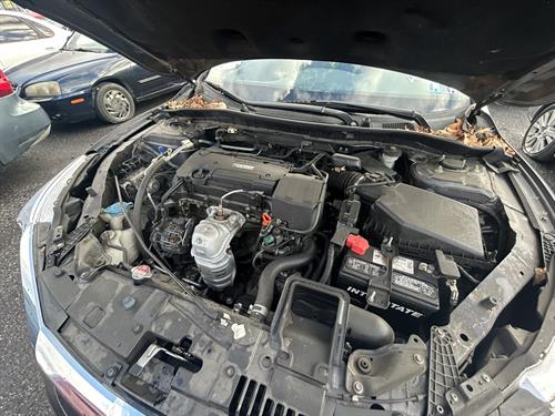 1-RotateNoneFlipNonedfe26900-fcc2-4e71-bda0-6bd007eb3cdb