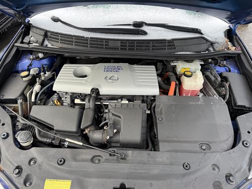 1-RotateNoneFlipNonee2abccdb-2df7-403b-b7b8-1b138dad4ab4