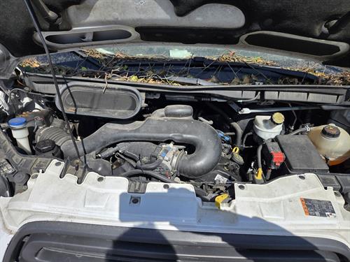 1-RotateNoneFlipNonee62b8e98-7fb0-4642-ae51-7c024c98c10f