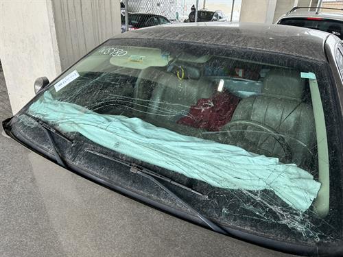 1-RotateNoneFlipNonee8d96664-b95e-4f11-b1ec-5e185853a693