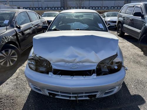 1-RotateNoneFlipNonee996a9b2-9cf4-4f67-a901-dad16503c65f