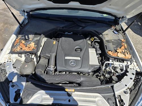 1-RotateNoneFlipNoneeadb28e5-62c2-4447-be0b-8acc5bf3a51a