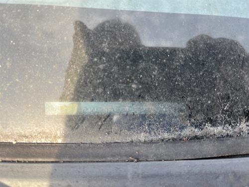 1-RotateNoneFlipNoneeb34ea87-b2c6-4715-a905-33bedb260c7c