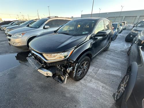 1-RotateNoneFlipNoneeca61299-74e7-4020-a466-e453941c8acb