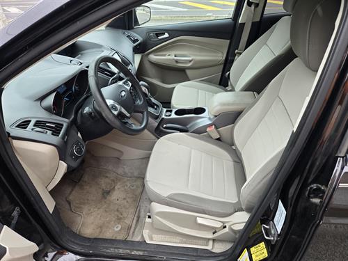 1-RotateNoneFlipNoneed04cc04-1c82-4064-a464-575e5466d829