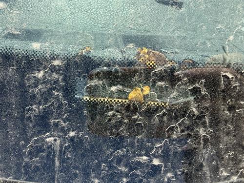 1-RotateNoneFlipNoneeda6236c-027f-4bd0-9784-2f713a596160