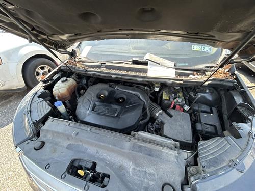 1-RotateNoneFlipNoneee406b25-d95e-404c-9451-aa3da9cbd2f7