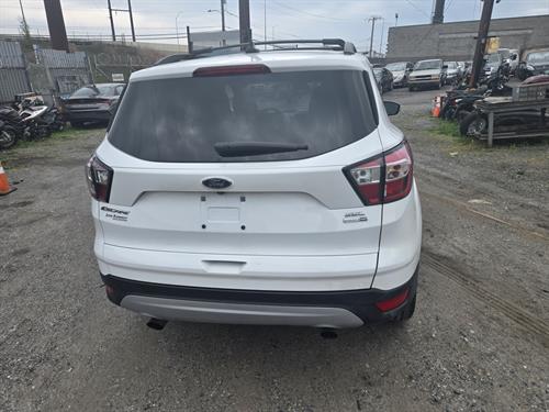 1-RotateNoneFlipNonef21e5359-b8a3-492b-90b2-aca97112afe5