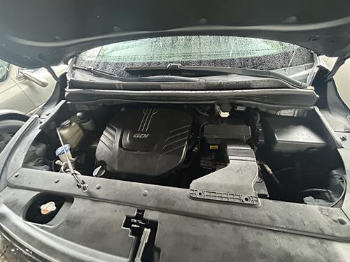 1-RotateNoneFlipNonef2b8cab9-e590-4702-b912-6abf6ec6b558