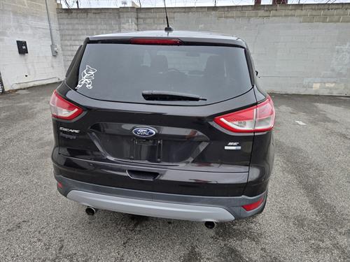 1-RotateNoneFlipNonef32695cf-ba78-48c1-9d0b-ed9b85f01f50