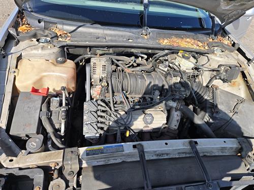 1-RotateNoneFlipNonef3813dff-aa31-4d10-a605-96d4ddf9a5de