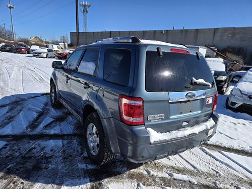 1-RotateNoneFlipNonef5bc3caf-7e65-43c2-8675-8f6efe2e44c1