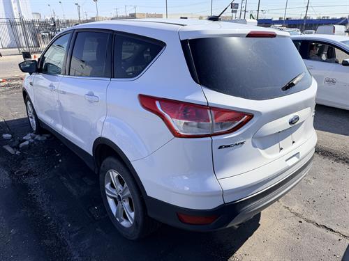 1-RotateNoneFlipNonefa8ebf6a-a217-4f82-ac67-6dc815299c47