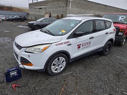 1-RotateNoneFlipNonefb4c211c-acd5-46e9-b7d9-f647f4b0660f