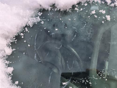 1-RotateNoneFlipNonefe889c43-651d-4386-a137-6361ec8ab2d3