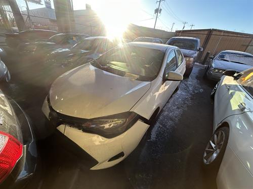 1-RotateNoneFlipNoneff4a3779-31a2-4f6e-af1d-59ac556930ca