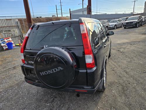 1-RotateNoneFlipNoneff61b20d-2ffc-4cff-b9ac-ea3be350846b