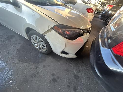 1-RotateNoneFlipNoneffe56008-f877-4a41-a7c5-9d7967eb8ec1