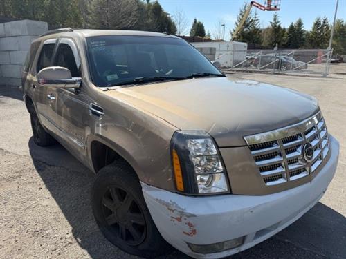 7c26ddc7-cae2-42e4-ad37-7f4c468f885b